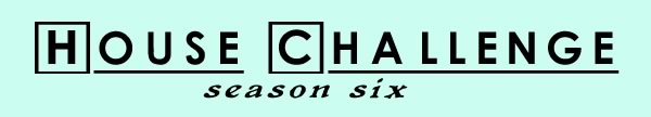 House Challenge Season Six
