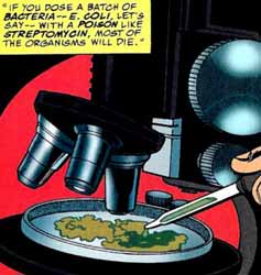 scene from Batman: Shadow of the Bat #77