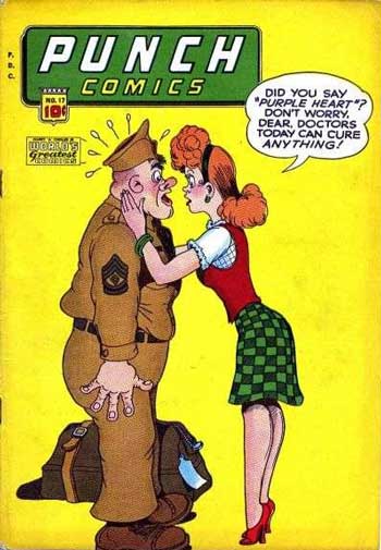 cover, Punch #17